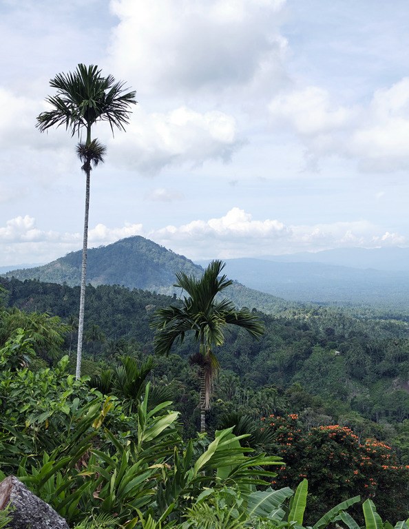 Papua New Guinea