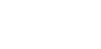 STRIVE logo